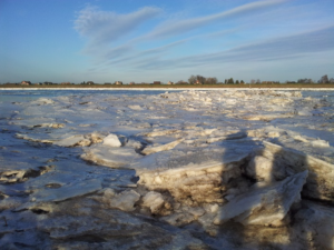 An der Elbe 2014 - Foto: R. Marek